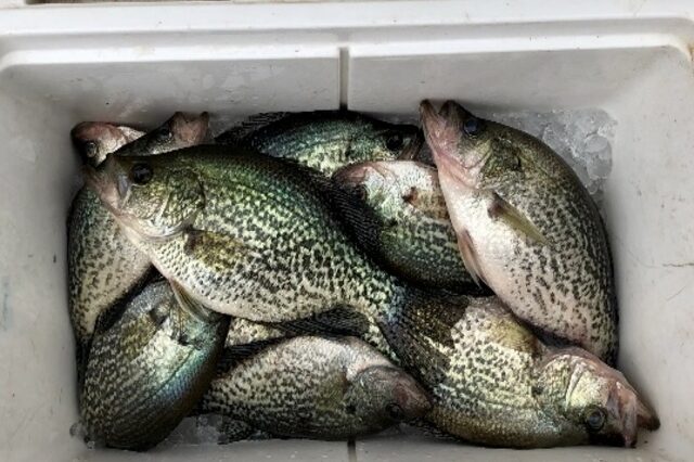 Lake Talquin fishing