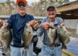 Lake Talquin Crappie fishing