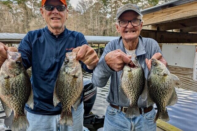 Lake Talquin Crappie fishing